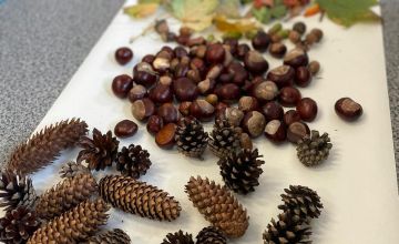 Pierwszy Dzień Jesieni