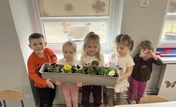 Sadzenie kwiatów w grupie VI