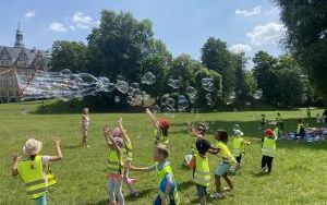 Piknik  (18)