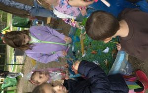 Festyn (2)