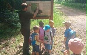 wycieczka do lasu (2)