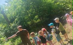 wycieczka do lasu (4)