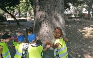 Przytulanie drzewa (3)