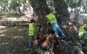 Przytulanie drzewa (4)