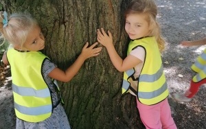 Przytulanie drzewa (5)
