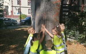 Przytulanie drzewa (11)